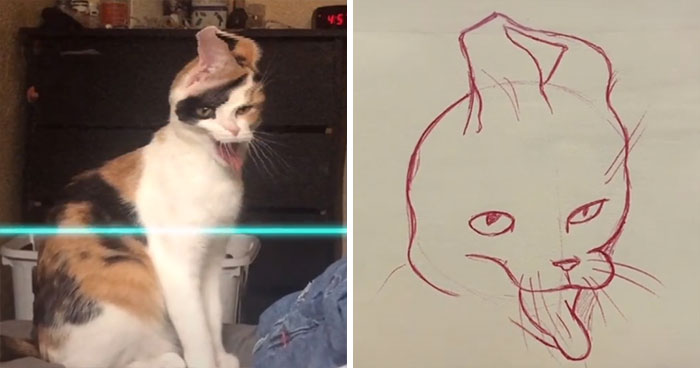 Time-Warp-Scan-Dogs-Cats-Drawing