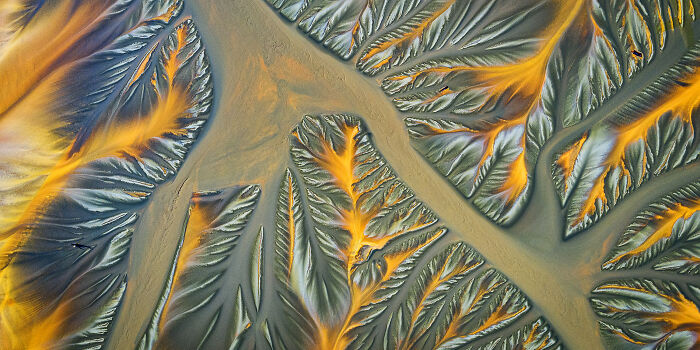 Epson-International-Pano-Awards-Winners-2020