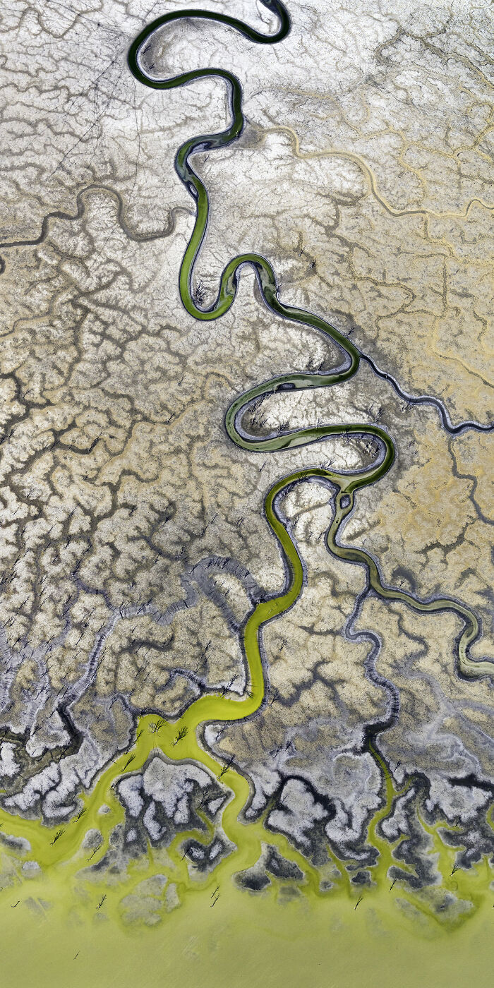 Epson-International-Pano-Awards-Winners-2020