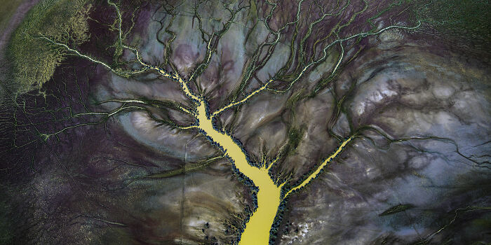 Epson-International-Pano-Awards-Winners-2020