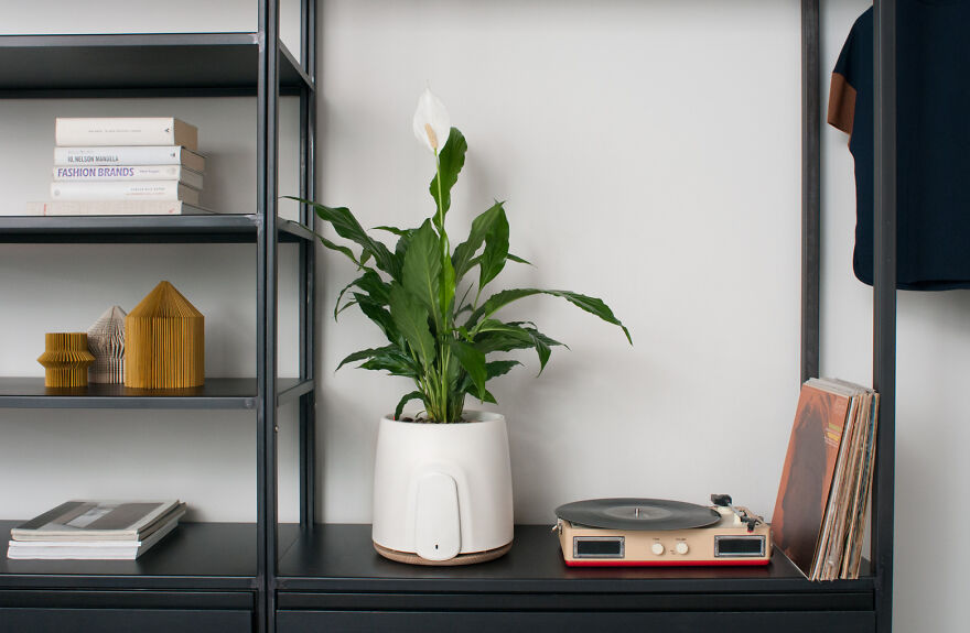 Natede Smart Air Purifier