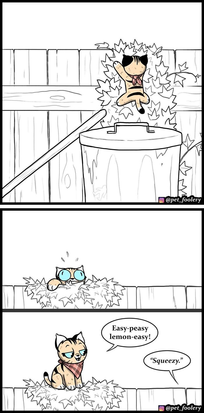 15 New Hilariously Adorable Comics About Brutus And Pixie To Instantly Make Your Day 15 New Hilariously Adorable Comics About Brutus And Pixie To Instantly Make Your Day