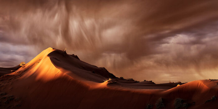 Epson-International-Pano-Awards-Winners-2020