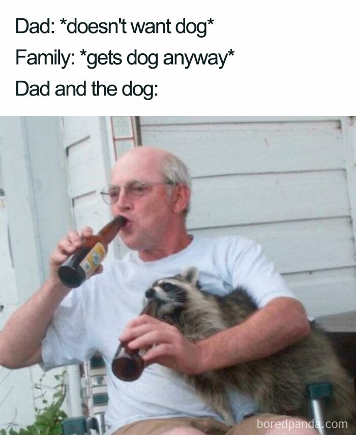 Man humorously bonding with raccoon like a dog, sharing drinks.