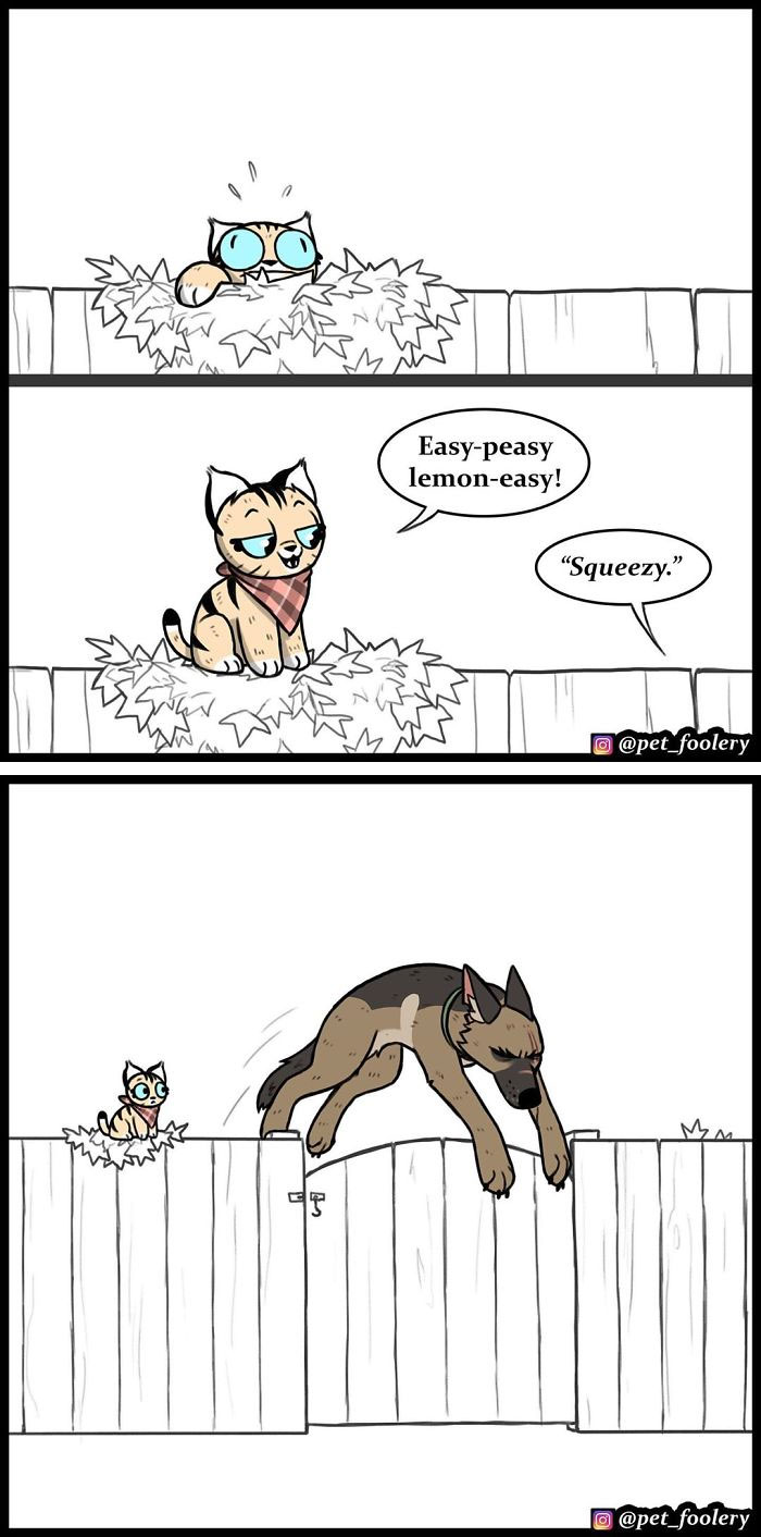 15 New Hilariously Adorable Comics About Brutus And Pixie To Instantly Make Your Day 15 New Hilariously Adorable Comics About Brutus And Pixie To Instantly Make Your Day