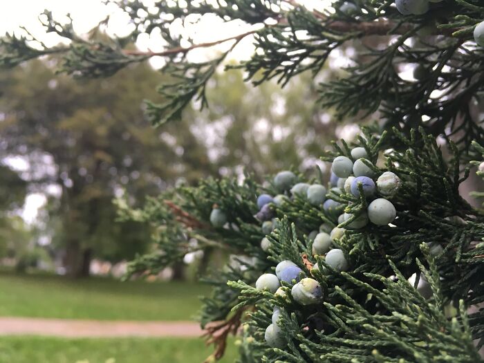 I’m Not Good At Doing Painting Or Anything Like That, But I Do Photography.