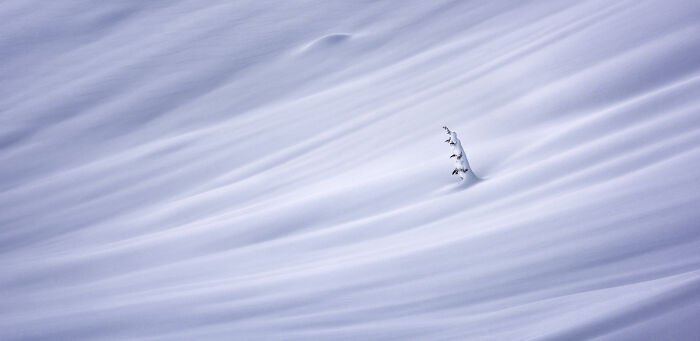 Epson-International-Pano-Awards-Winners-2020