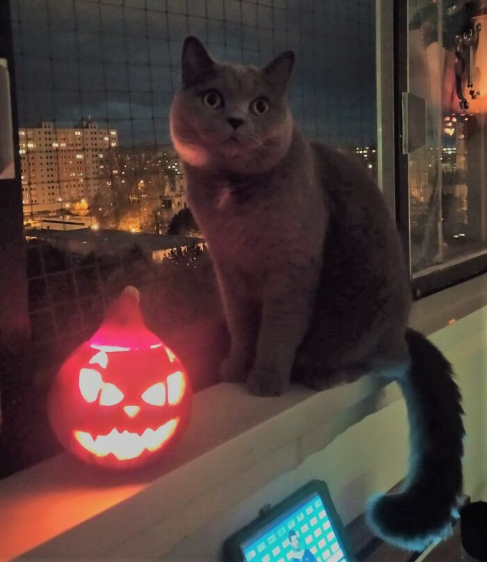 1st Time Ever..thx My Little Helper :-))