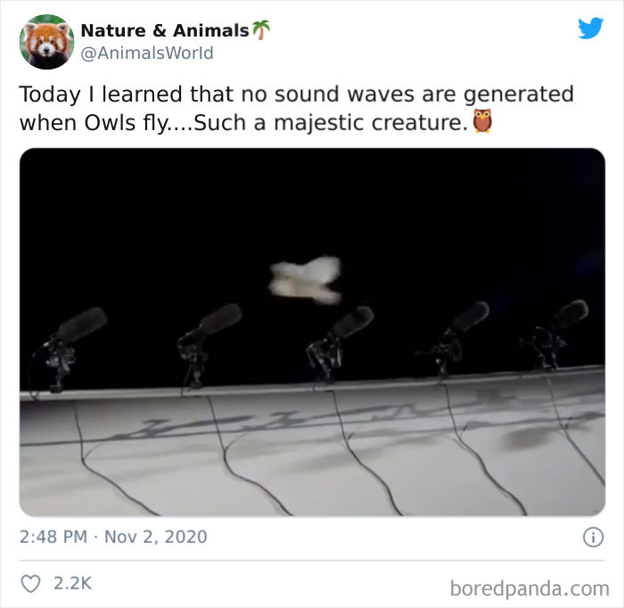 People-Share-Today-I-Learned-Interesting-Facts