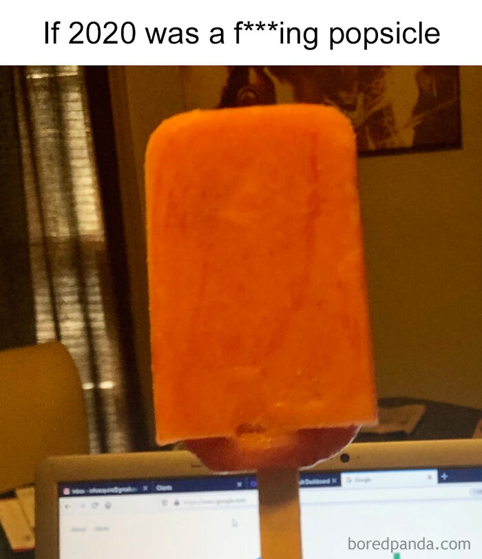 If-2020-Was-Meme-Joke