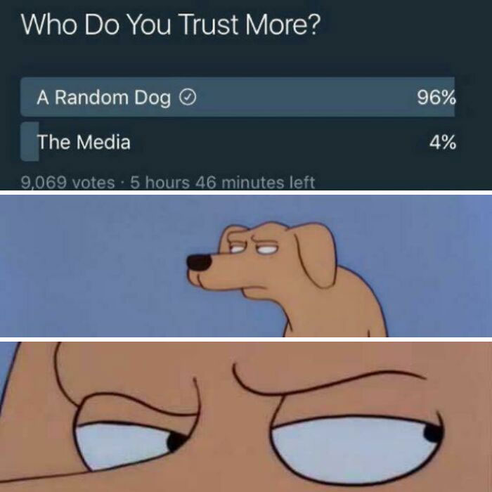Poll results showing 96% trust a random dog over media, paired with a skeptical dog meme reaction, funny dog memes concept.