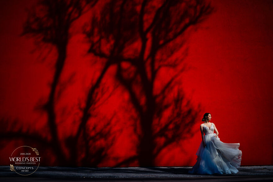 This Bride Framed In Front Of A Dramatic Shadow Of Trees By Vinson Images