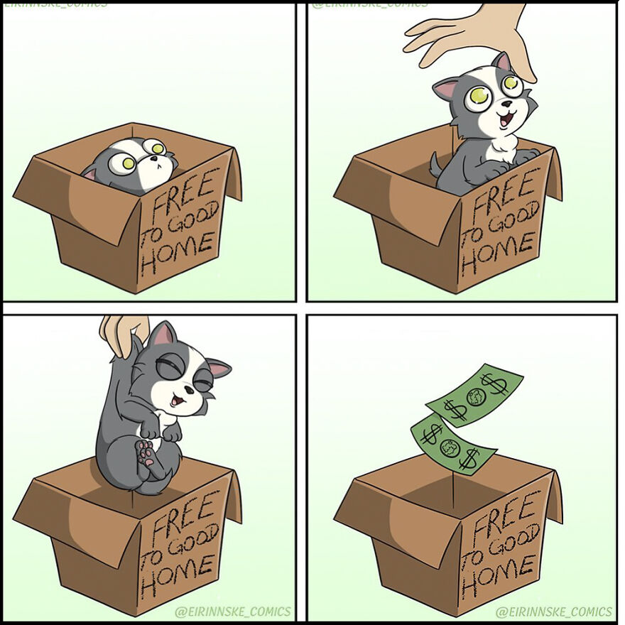 20 Comics About An Awkward Girl, By An Awkward Girl