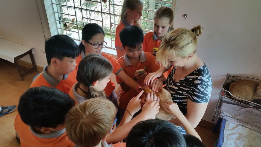 Vietnam's First Farm Sanctuary And Animal Rescue Helps All Kinds Of Animals Who Are Suffering From Cruelty And Neglect Vietnam's First Farm Sanctuary And Animal Rescue Helps All Kinds Of Animals Who Are Suffering From Cruelty And Neglect