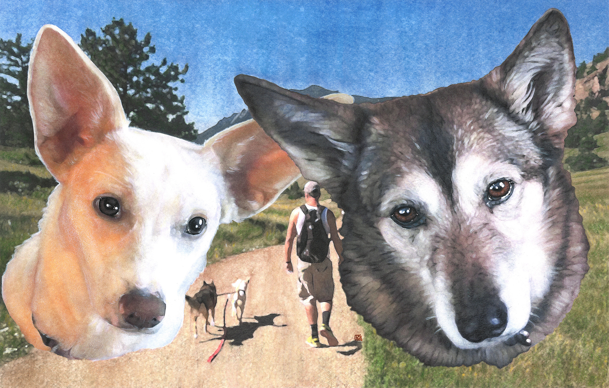 2019 Special Dog Portraits!