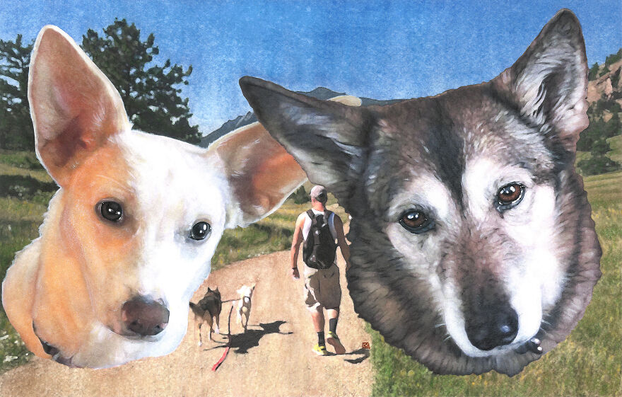 2019 Special Dog Portraits!