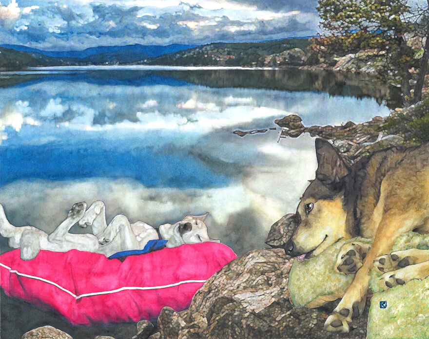 2019 Special Dog Portraits!