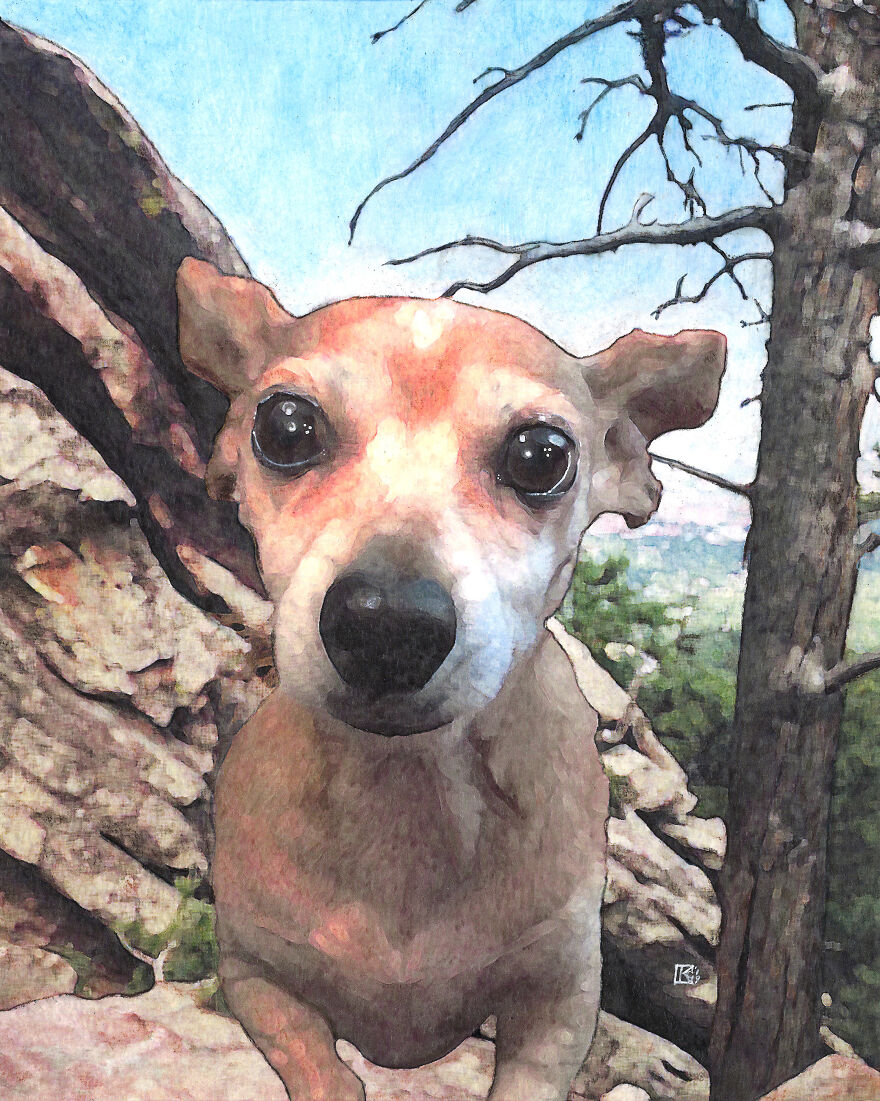 2019 Special Dog Portraits!