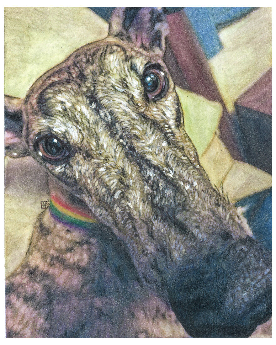 2019 Special Dog Portraits!