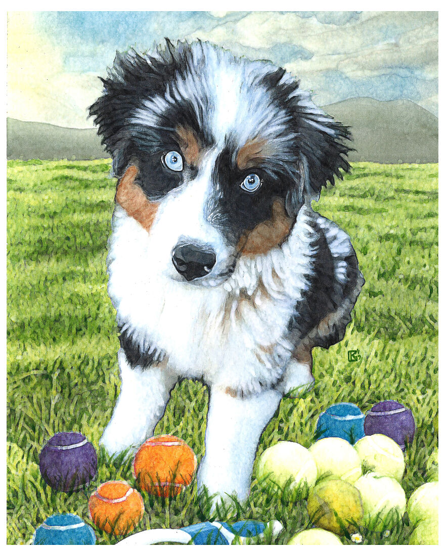 2019 Special Dog Portraits!