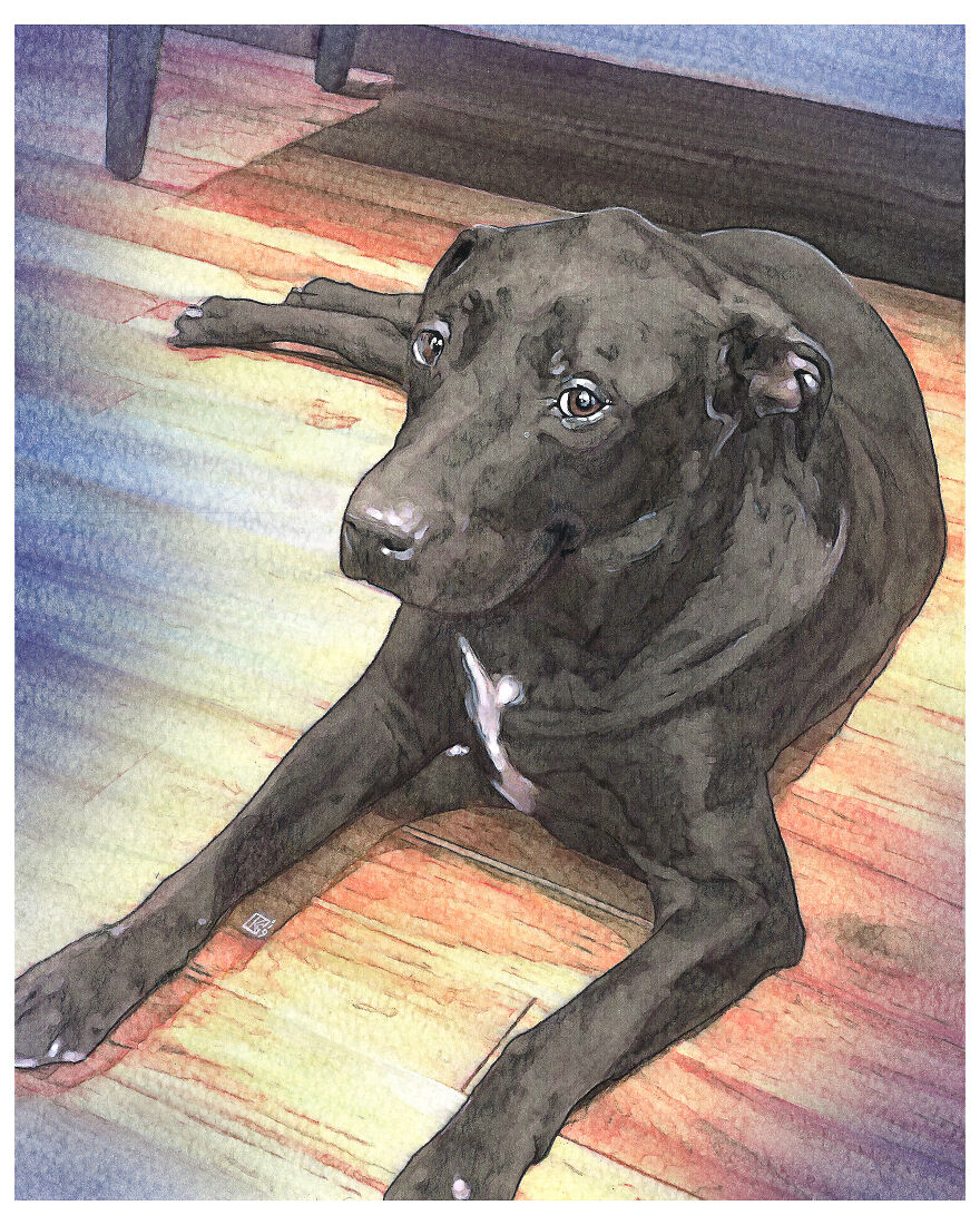 2019 Special Dog Portraits!