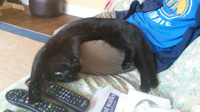 Yes, I Am Comfortable. Thank You Asking.