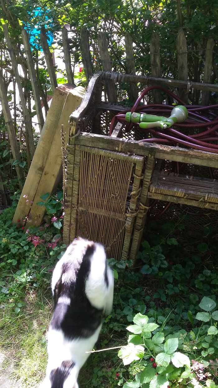 Was Really Looking Majestic! ......a Seccond Before I Pushed The Button.