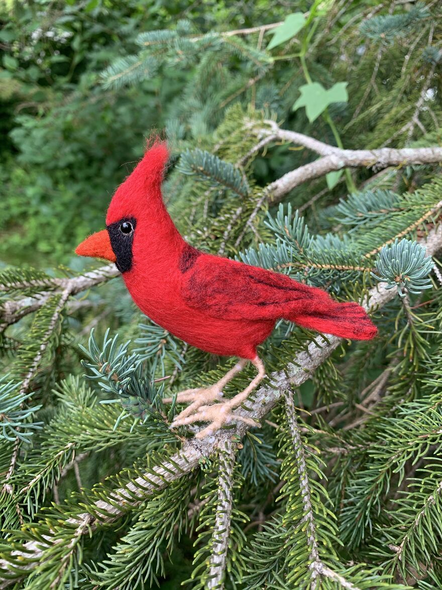 Cardinal