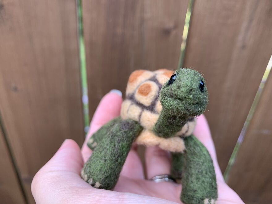 Cheeky Tortoise Smile