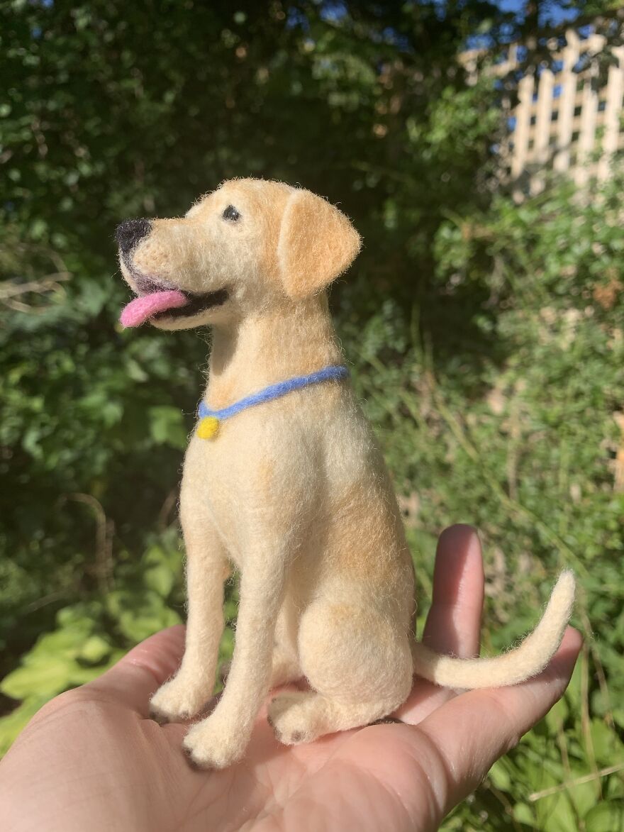 Yellow Lab
