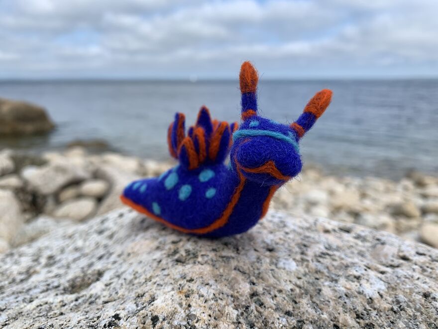 Nudibranch