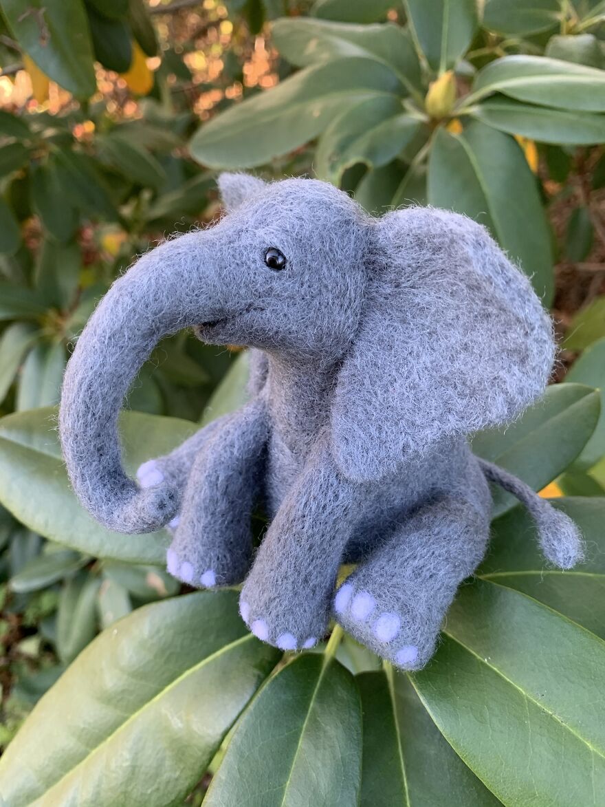 Elephant