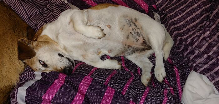 Rescued Age 13 Quickly Found Out She Was Sleeping Beauty In Disguise.