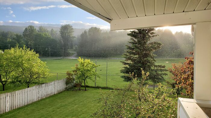 Sunshine Through The Rain - 2020