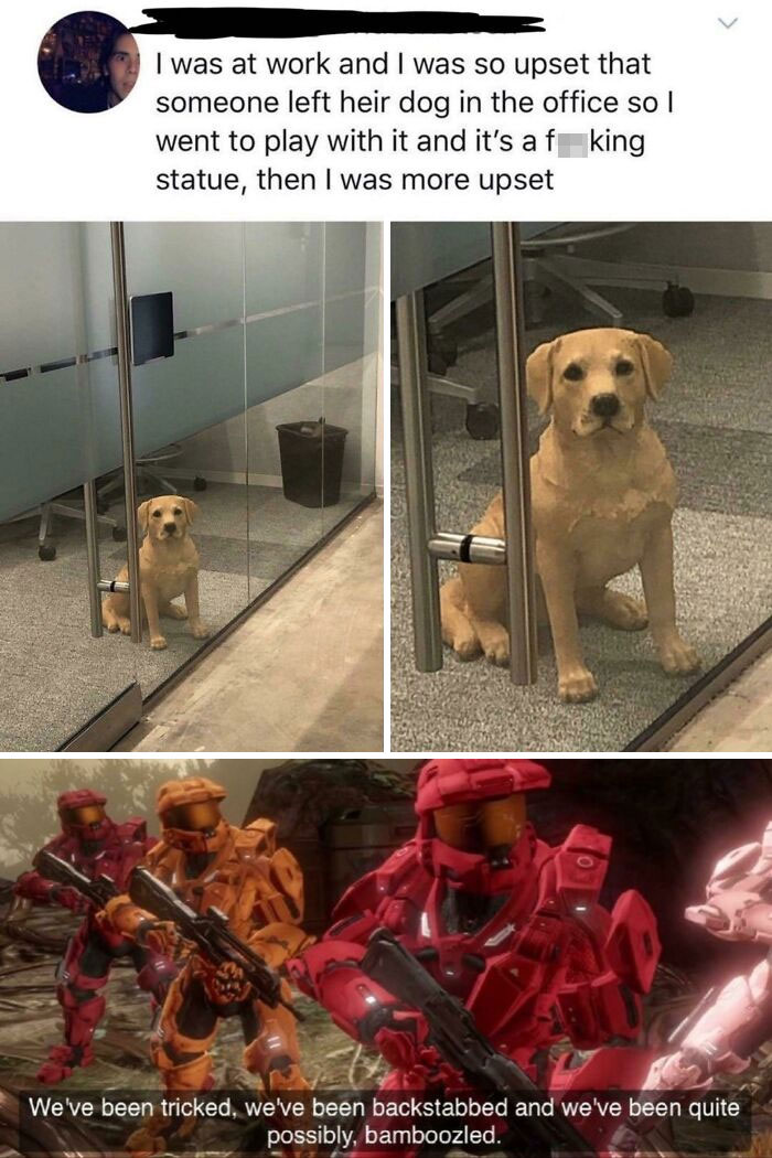 Funny dog meme of a statue mistaken for a real dog in an office, paired with text from video game avatars.