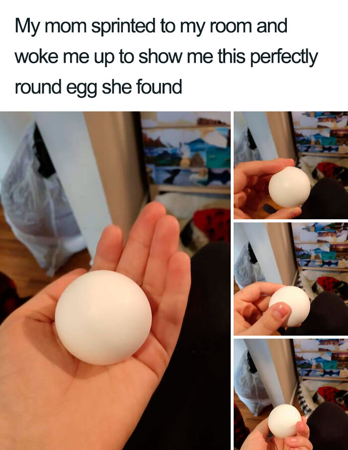 Really Wholesome Mom