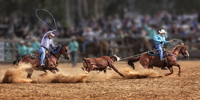 Epson-International-Pano-Awards-Winners-2020