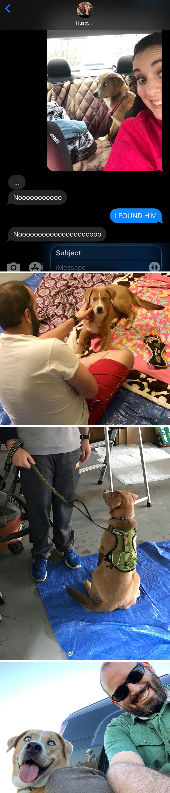 Didnt-Want-A-Dog-Challenge