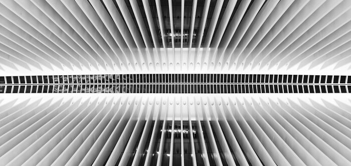 Epson-International-Pano-Awards-Winners-2020