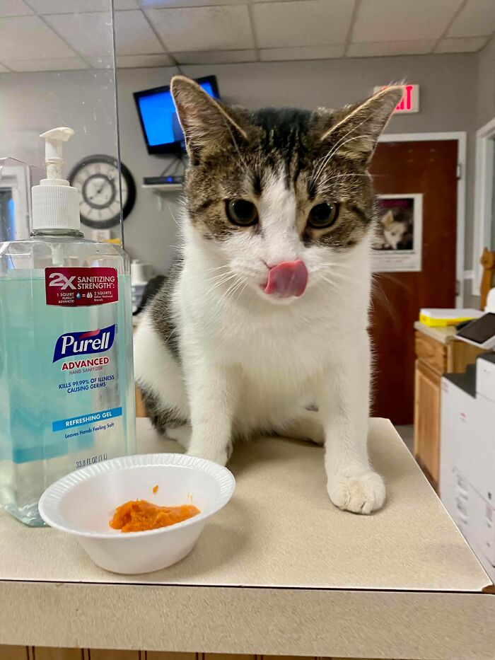 Nearly 80 Shelter Animals Get Treated To A Festive Thanksgiving Meal Nearly 80 Shelter Animals Get Treated To A Festive Thanksgiving Meal