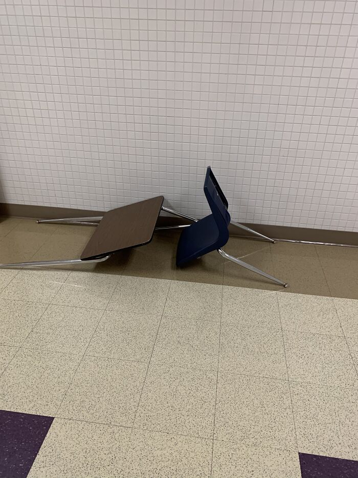 Never Felt Such A Mood From Something That Isn’t Living, And It’s Hilarious