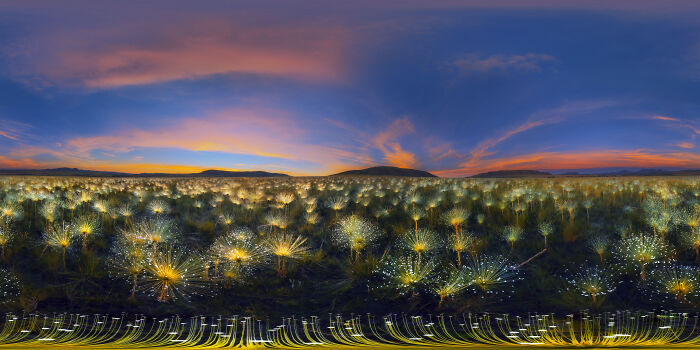 Epson-International-Pano-Awards-Winners-2020