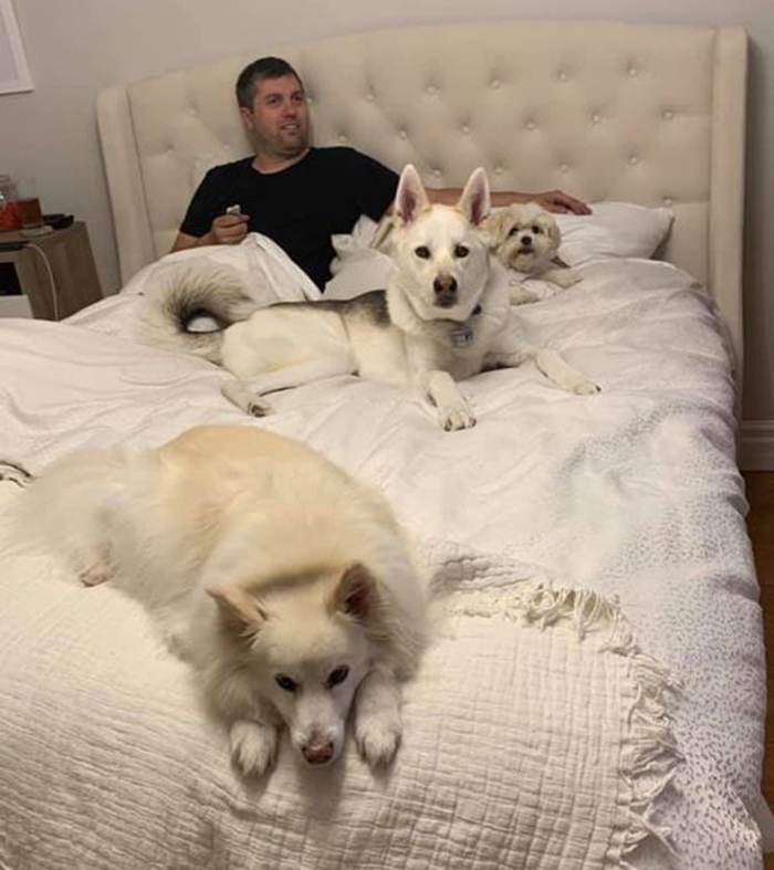 Didnt-Want-A-Dog-Challenge