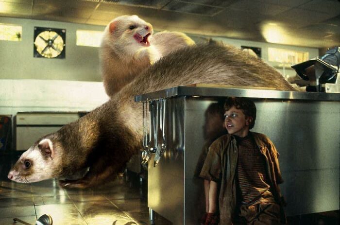 Someone Replaced Jurassic Park Dinosaurs With Ferrets, And This Version Is Probably Better Than The Original Someone Replaced Jurassic Park Dinosaurs With Ferrets, And This Version Is Probably Better Than The Original