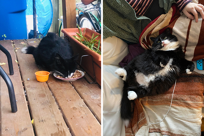 My James Won't Ever Be Cold Again