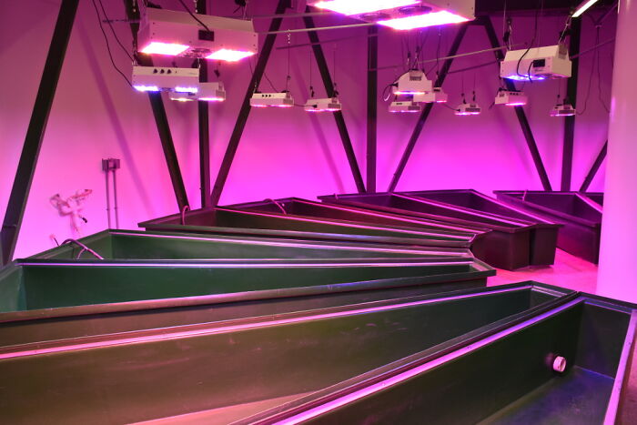 "Inside A $3M Doomsday Condo": This Is How A Luxury Survival Bunker Looks