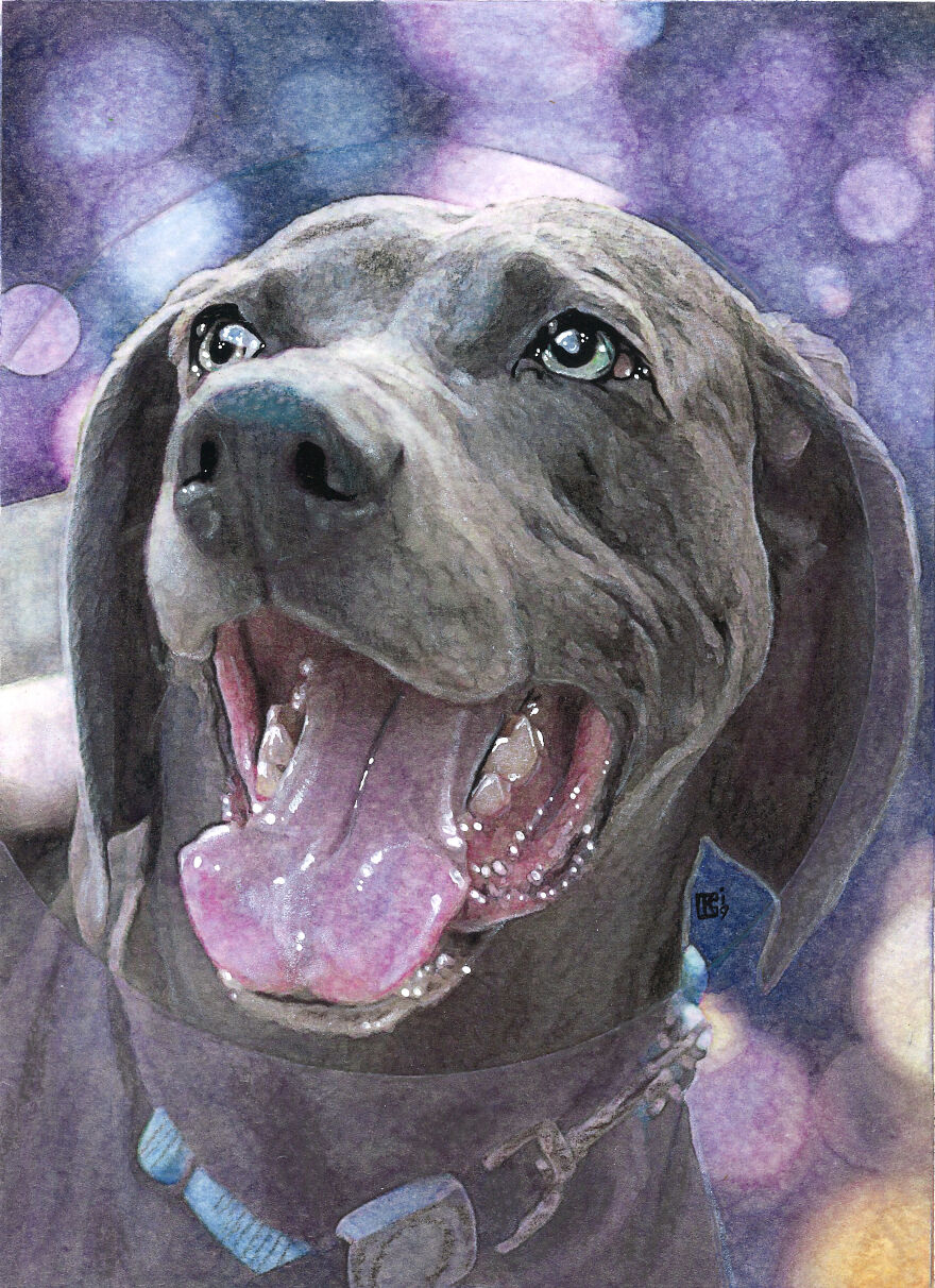 30 Paintings In 30 Days - 2019