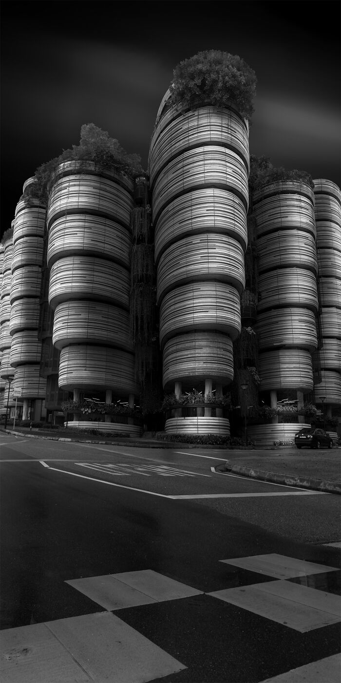 Epson-International-Pano-Awards-Winners-2020