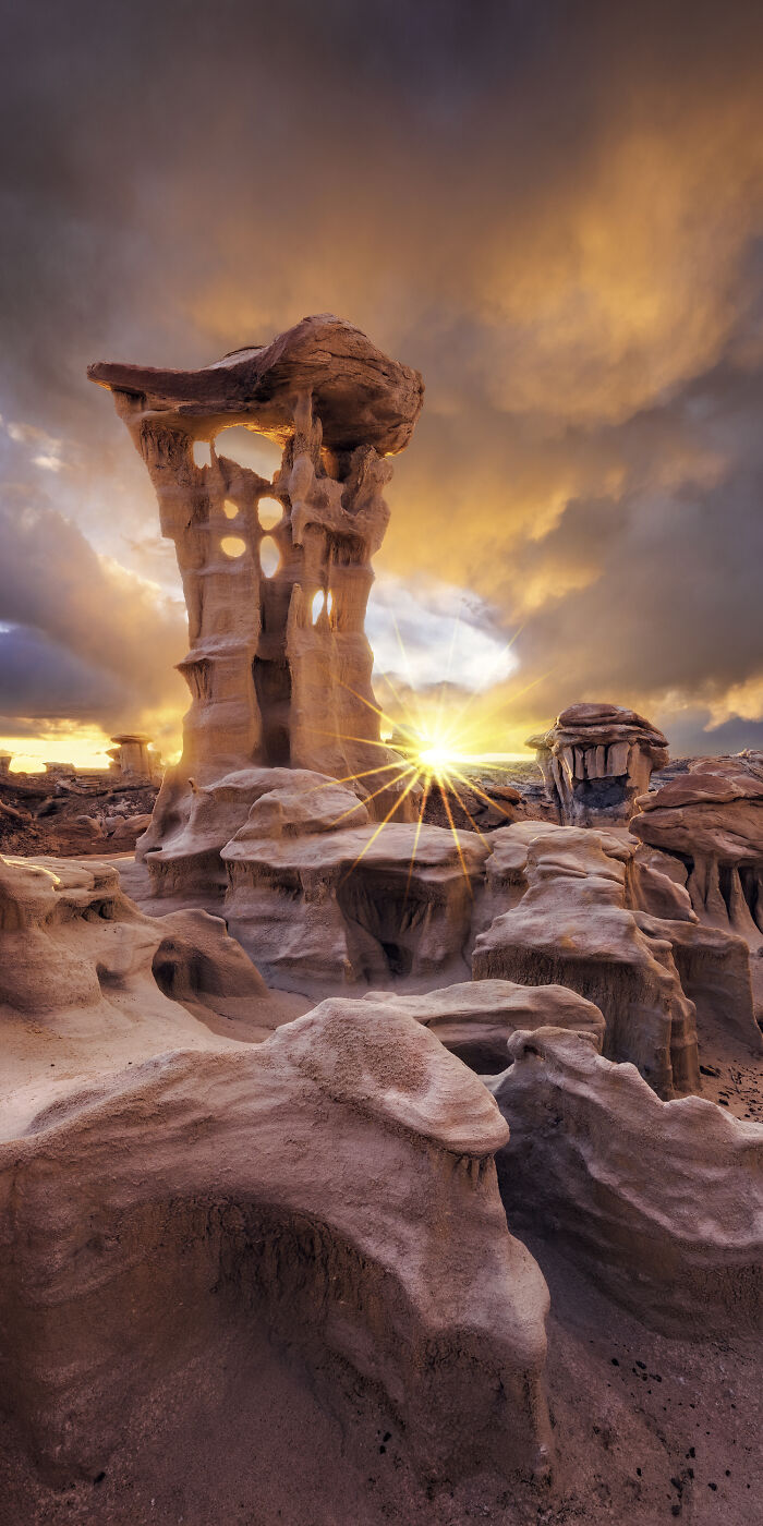 Epson-International-Pano-Awards-Winners-2020