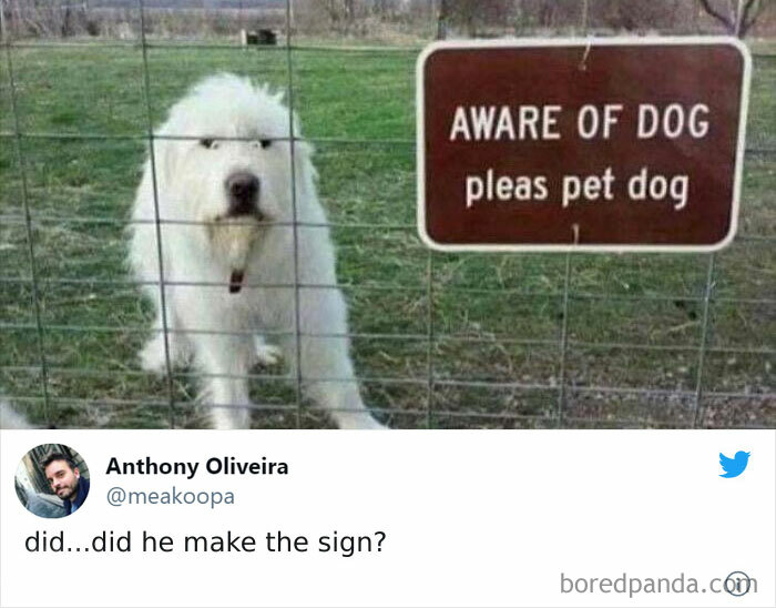 Fluffy dog behind a fence with a humorous sign reading "AWARE OF DOG pleas pet dog."
